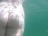 Nudist ass under water